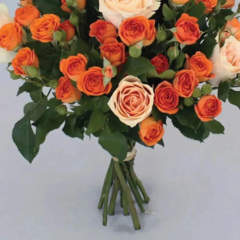 Summer Bonanza - Flowers gift from Buy Any Flowers Dubai in Al Quoz Industrial Area 4, Dubai, UAE - image 3