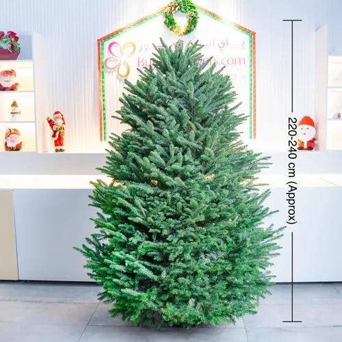 Fresh Premium Christmas Tree 230cm 1