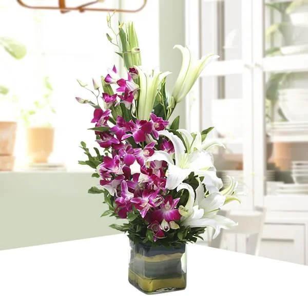 aroma-beauty_1.webp