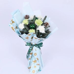 winter-7-carnations-bouquet_1.webp