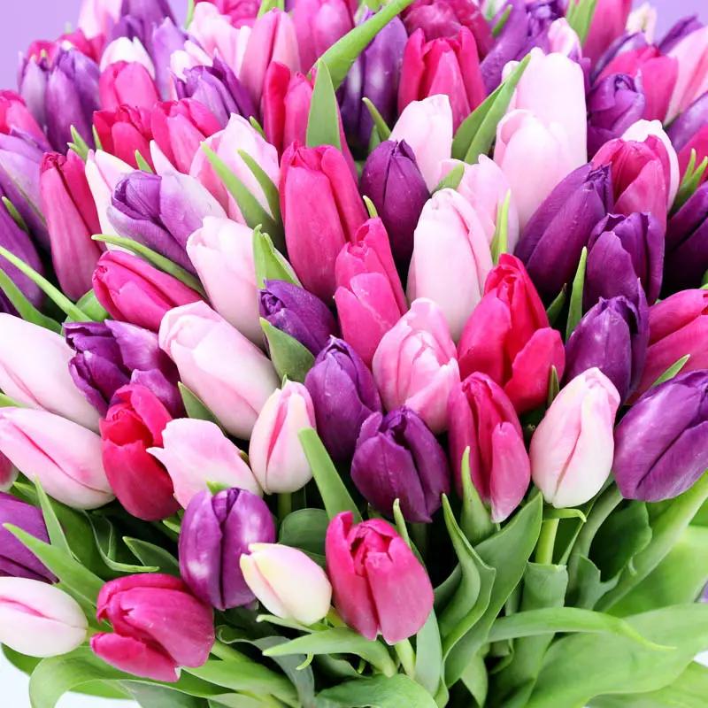 Queen 101 Tulips Vase thumbnail 3