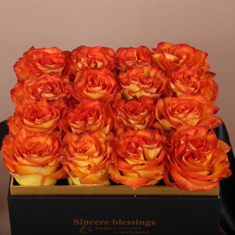 Forever Blessings thumbnail 3