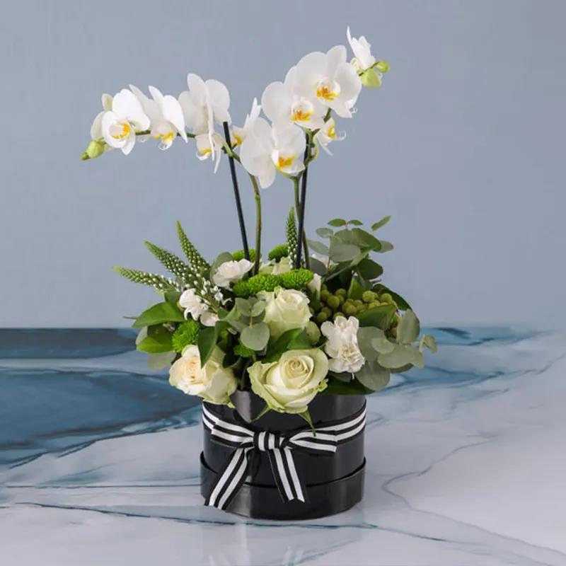 thought-plants-and-flowers-in-box_1.webp
