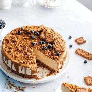 lotus-cheesecake-4-portion_1.webp