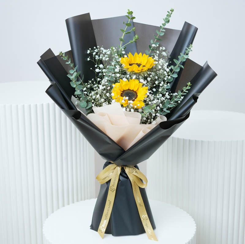 Sunflower Delight 1