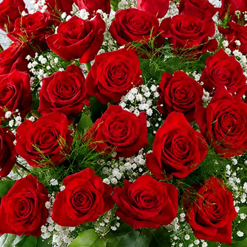 Elegant 50 Red Roses In Vase - Flowers gift from Buy Any Flowers Dubai in Al Quoz Industrial Area 4, Dubai, UAE - image 2