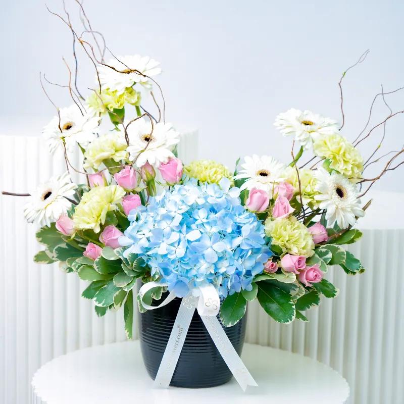 Grace Flowers in Black Ceramic Pot - Flowers gift from Buy Any Flowers Dubai in Al Quoz Industrial Area 4, Dubai, UAE