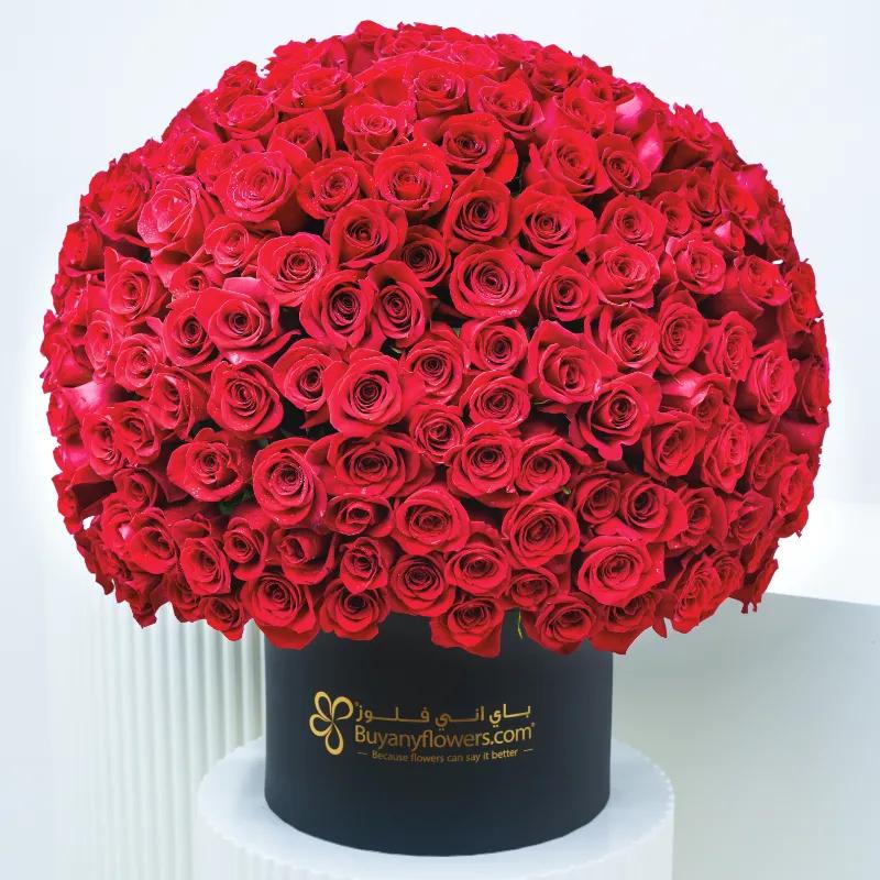 Endless Love 175 Red Roses Box - Flowers gift from Buy Any Flowers Dubai in Al Quoz Industrial Area 4, Dubai, UAE