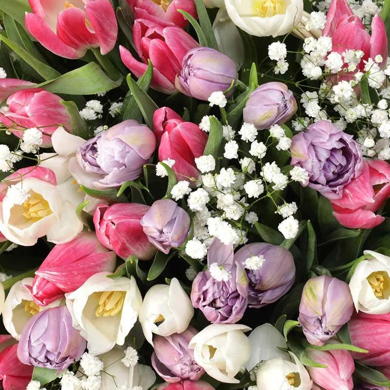 Magnificent 201 Tulips Basket thumbnail 3