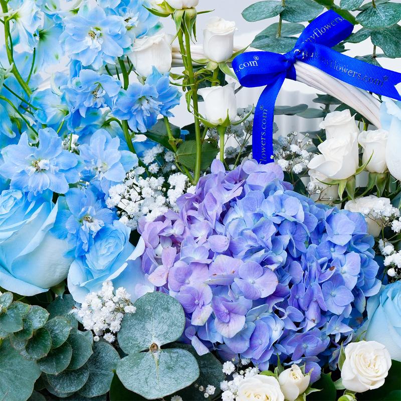 Heavenly Blue Hydrangea Basket - Flowers gift from Buy Any Flowers Dubai in Al Quoz Industrial Area 4, Dubai, UAE - image 2