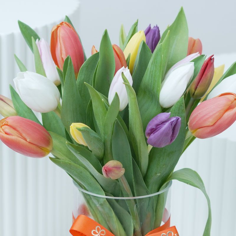 Hello Spring thumbnail 2