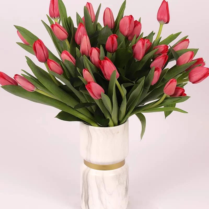 Scarlet 31 Red Tulips thumbnail 2