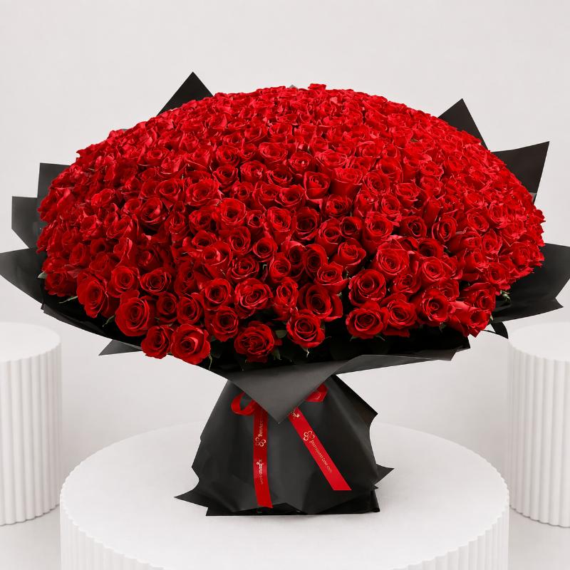 Beloved 501 Red Roses Bouquet in Dubai