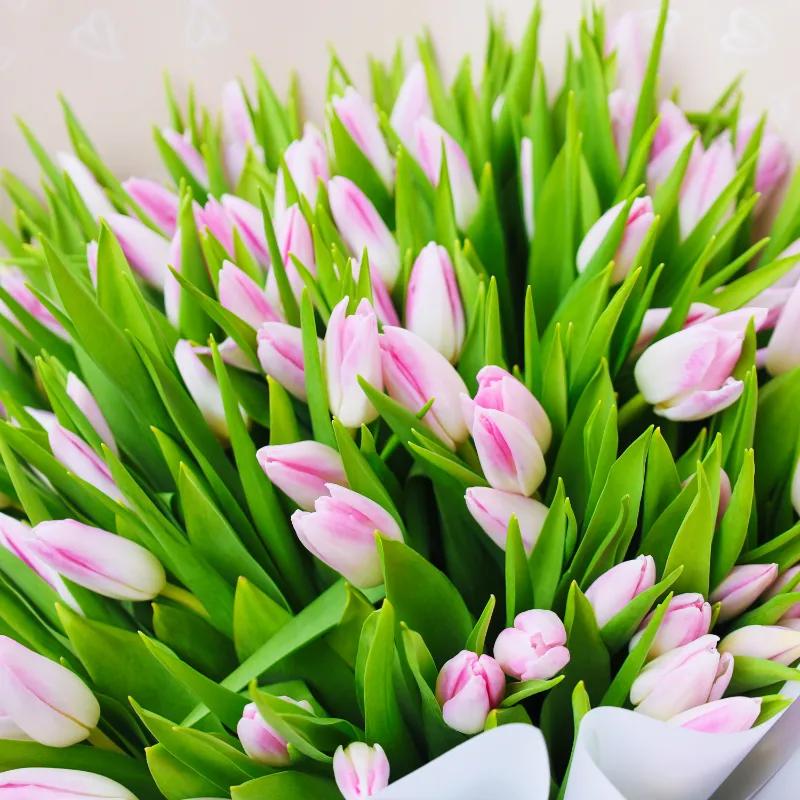 Candy 101 Pink Tulips Bouquet - Flowers gift from Buy Any Flowers Dubai in Al Quoz Industrial Area 4, Dubai, UAE - image 3