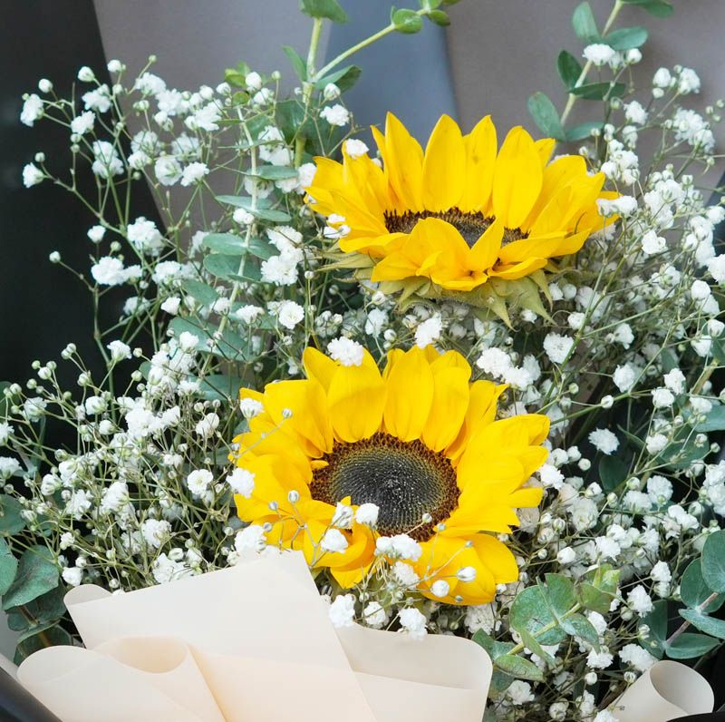 Sunflower Delight thumbnail 3