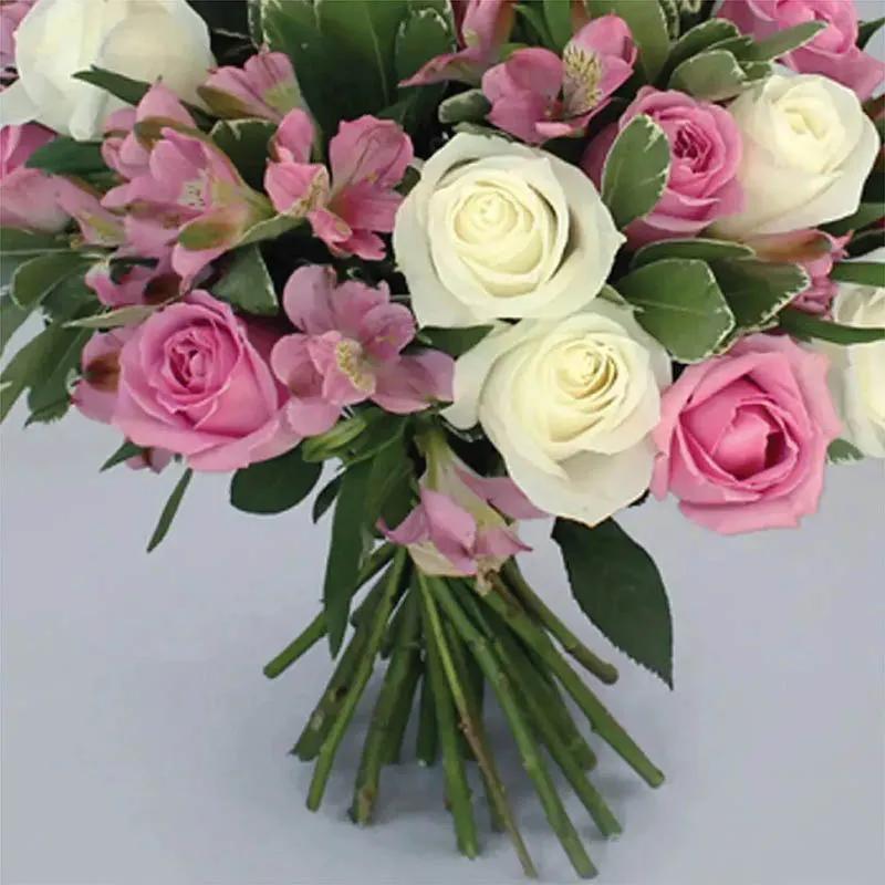 Tuning of White and Pink Roses thumbnail 3