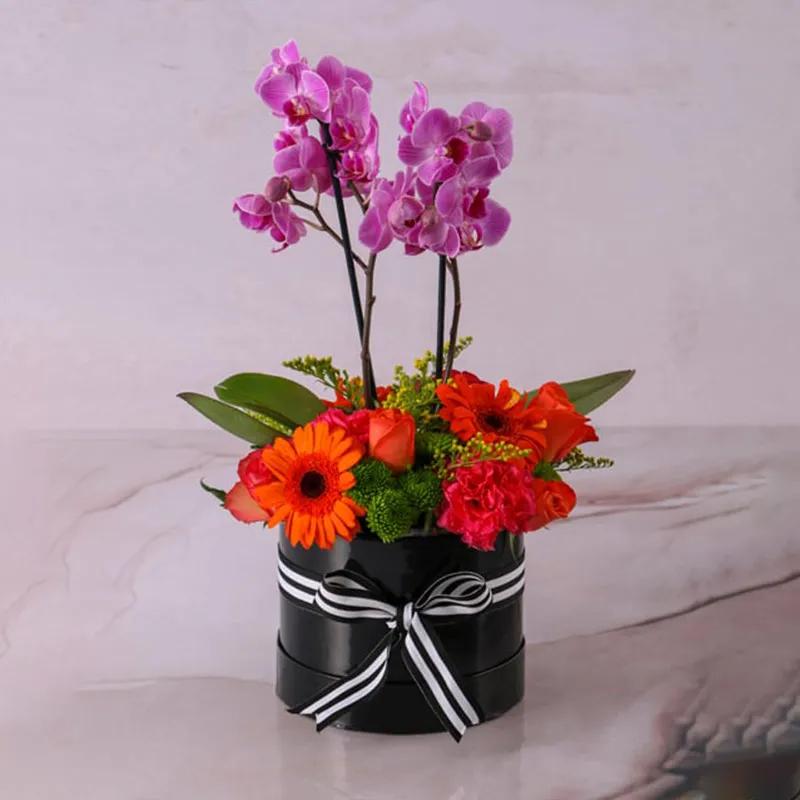 fantastic-plants-and-flowers-in-box_1.webp