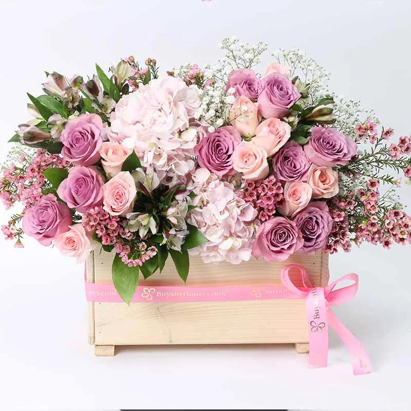 pure-love-pastel_1.webp