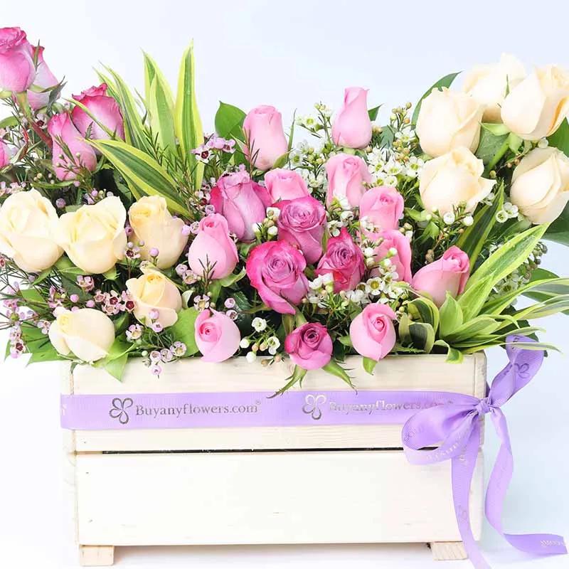 Abundance 31 Roses thumbnail 2