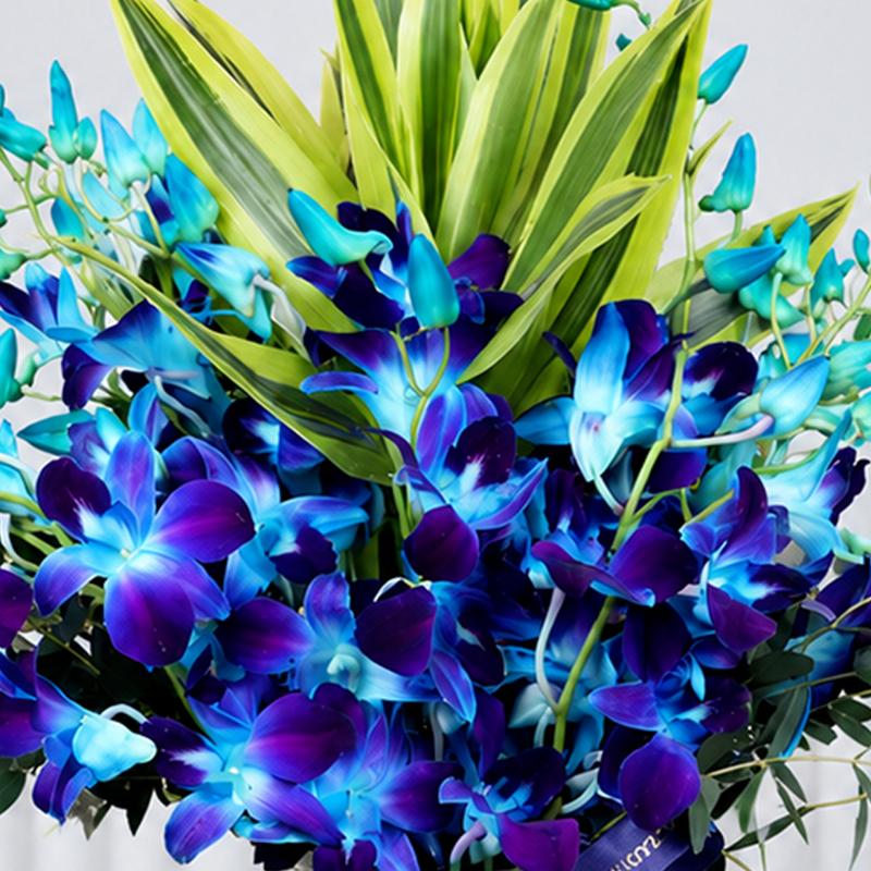 11 Blue Orchid In Vase - Flowers gift from Buy Any Flowers Dubai in Al Quoz Industrial Area 4, Dubai, UAE - image 2