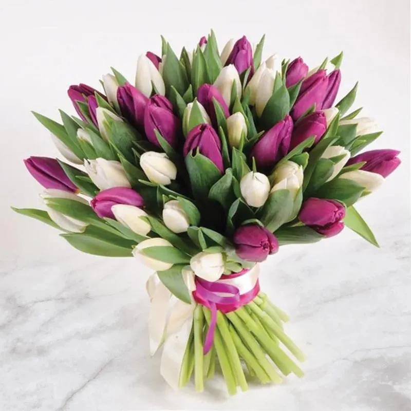 purple-and-white-bliss_1.webp