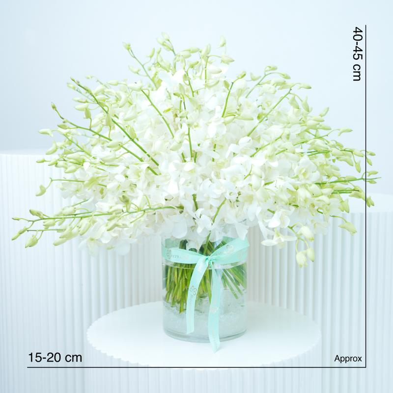 Bianca 101 Orchids - Gifts gift from Buy Any Flowers Dubai in Al Quoz Industrial Area 4, Dubai, UAE - image 4
