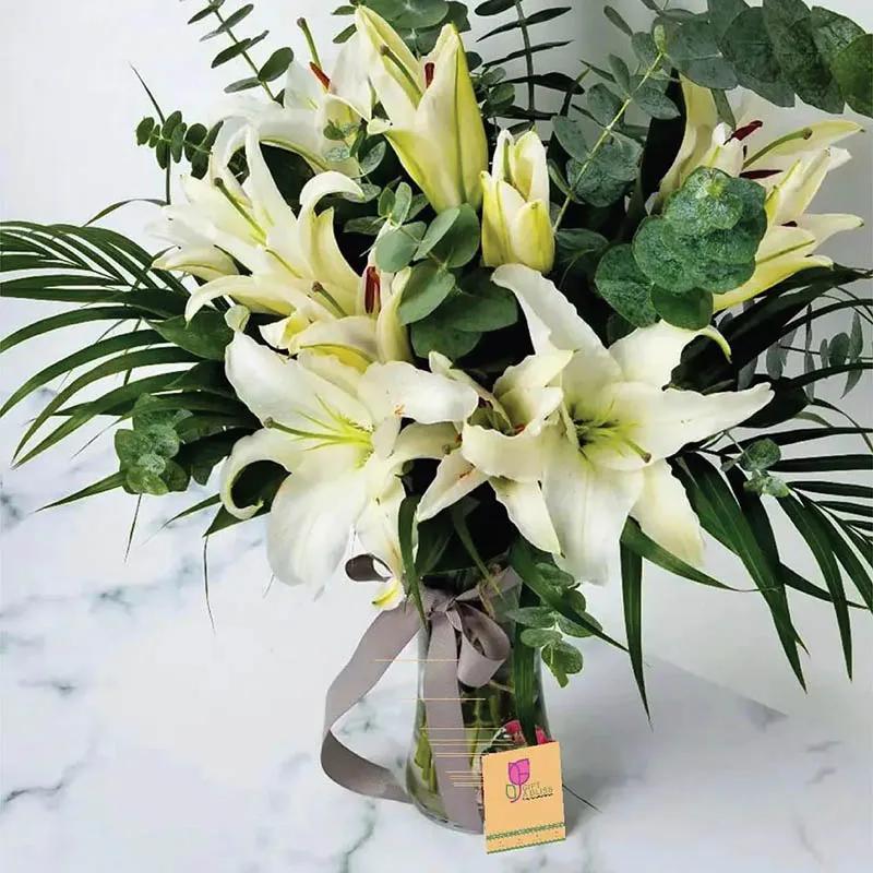 Backyard Beauty thumbnail 3