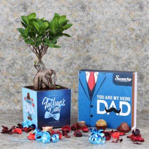 fathersdaybonsaiplantandpremiumchocolates_5de507.webp