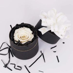 ورود بيضاء أبدية في صندوق أسود 1