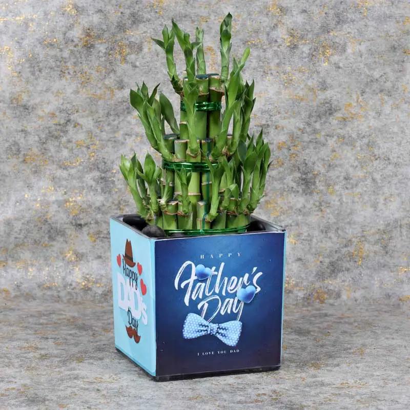 fathers-day-3-layer-bamboo-plant_1.webp