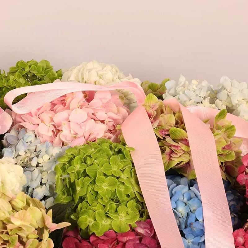 Bonanza 35 Hydrangea in Box thumbnail 3