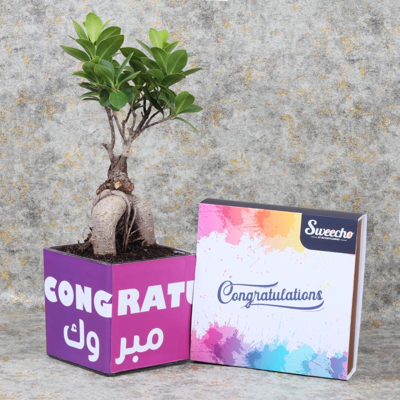 congratulationsbosnaiplant_08c6f0.webp