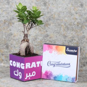 congratulationsbosnaiplant_08c6f0.webp