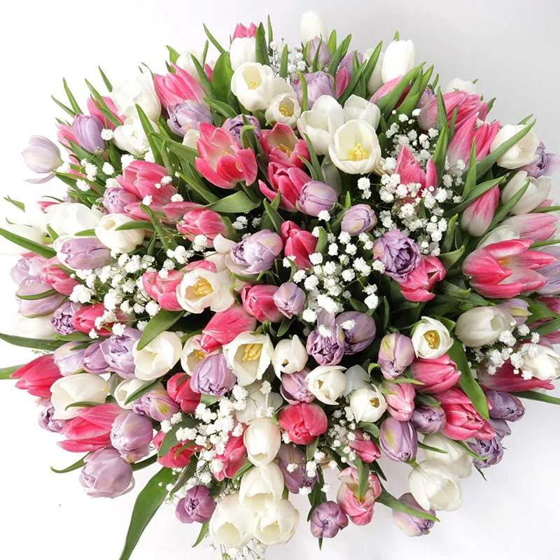 Magnificent 201 Tulips Basket thumbnail 2