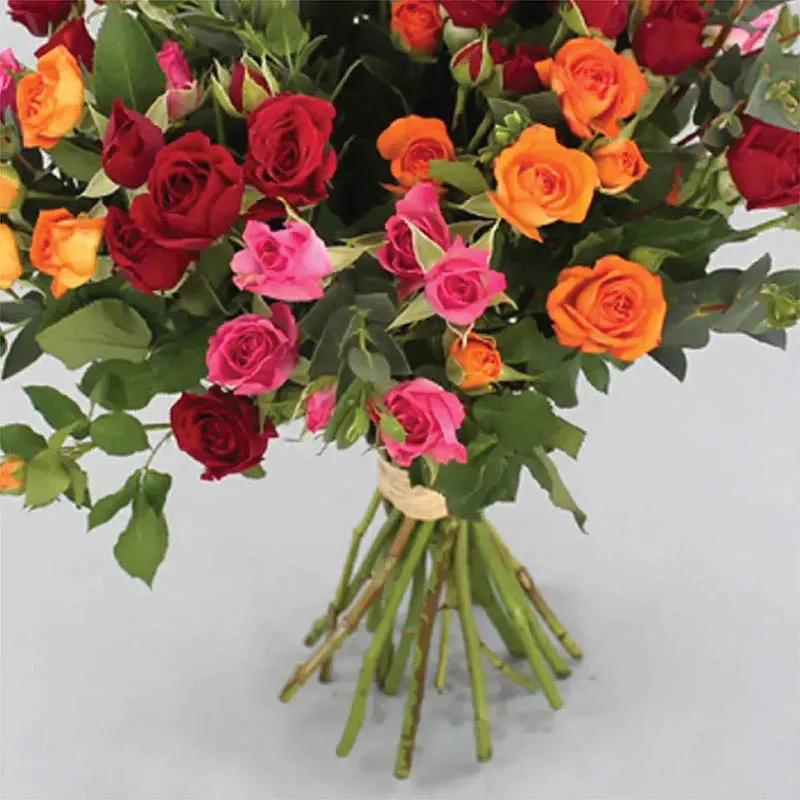 Beautiful Bunch Baby Roses thumbnail 3