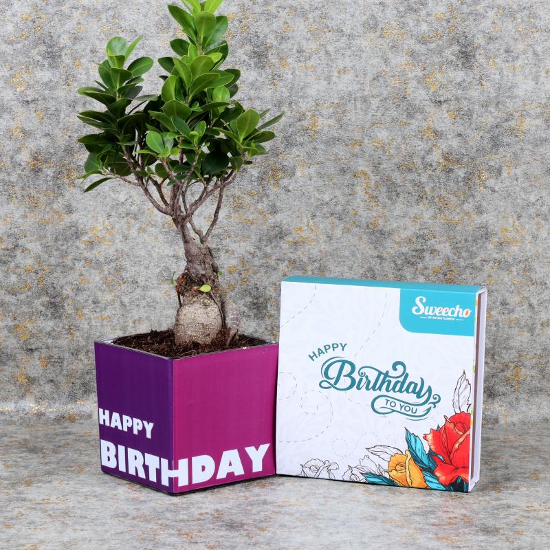 birthdaybosnaichocos_c57021.webp