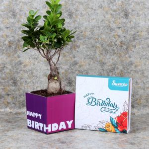 birthdaybosnaichocos_c57021.webp