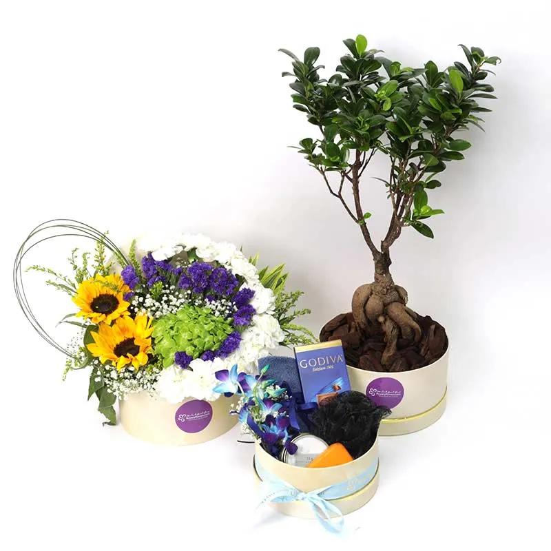 for-my-fellow-trio_1.webp
