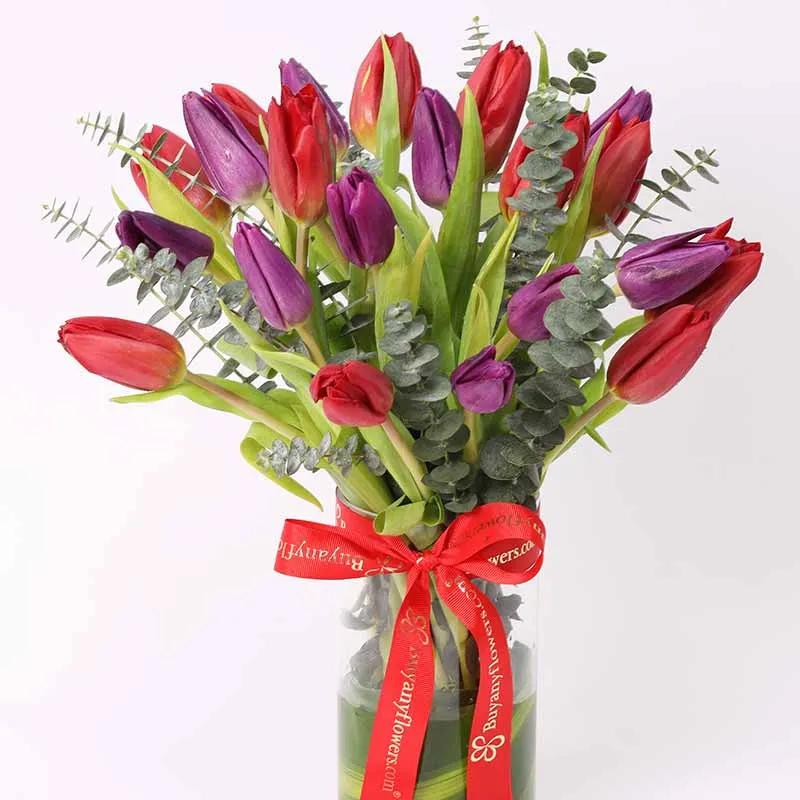 Scarlet Beauty 19 Tulips Vase thumbnail 2