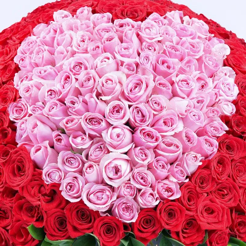 My Heart 501 Red and Pink Roses Box - Flowers gift from Buy Any Flowers Dubai in Al Quoz Industrial Area 4, Dubai, UAE - image 3