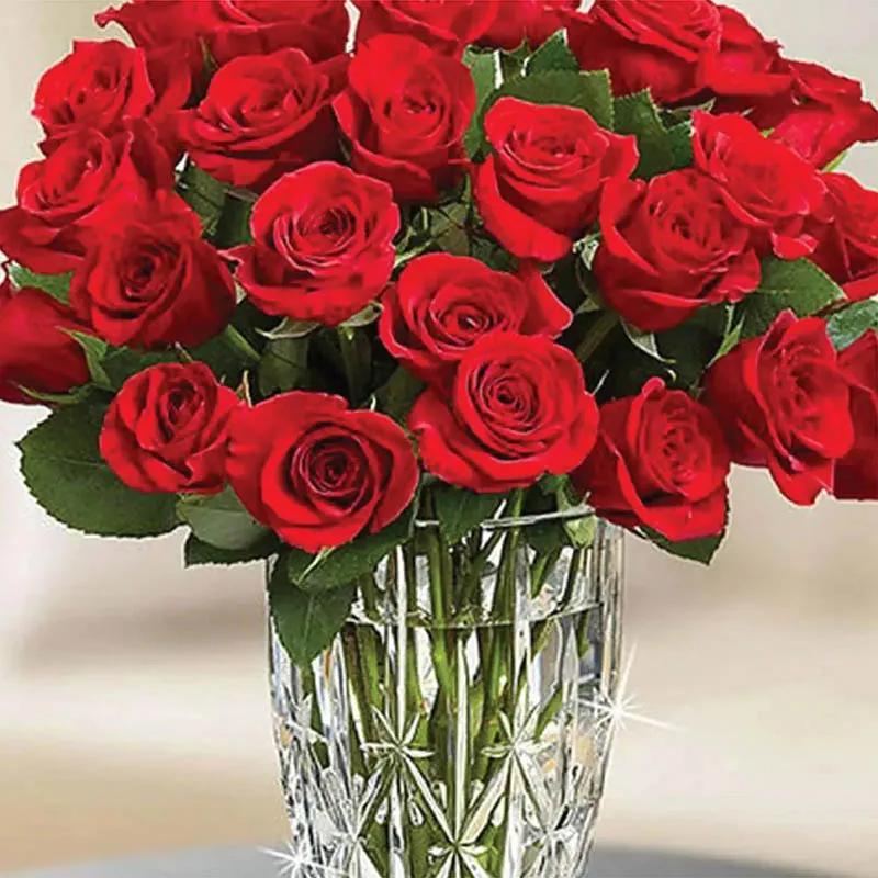Beauty Of Red Roses - Flowers gift from Buy Any Flowers Dubai in Al Quoz Industrial Area 4, Dubai, UAE - image 2