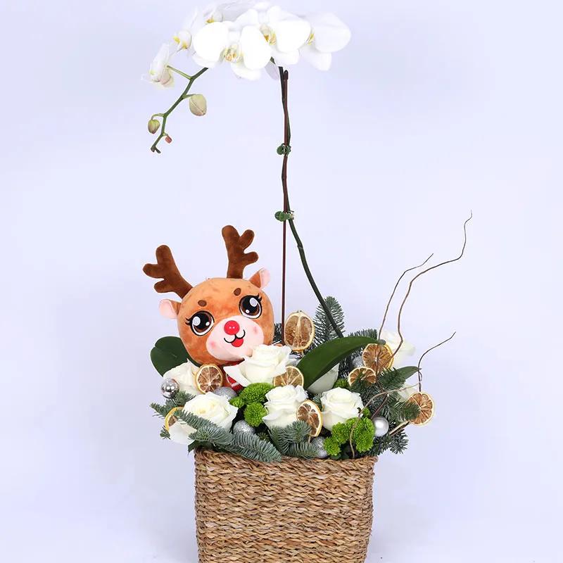 Jolly Winter Arrangement thumbnail 2