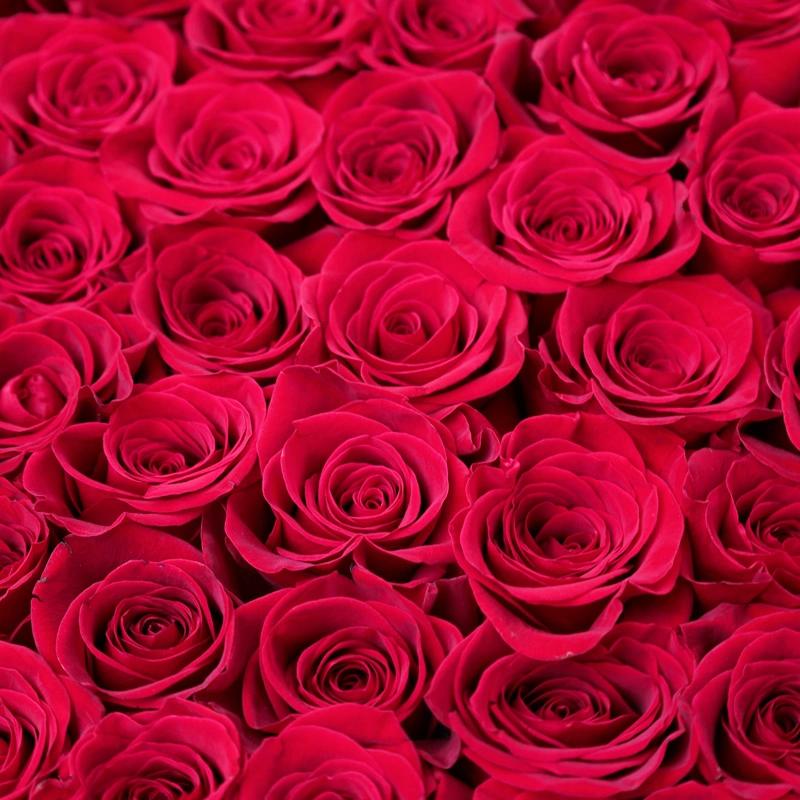 My Big Heart Red Roses Box thumbnail 3