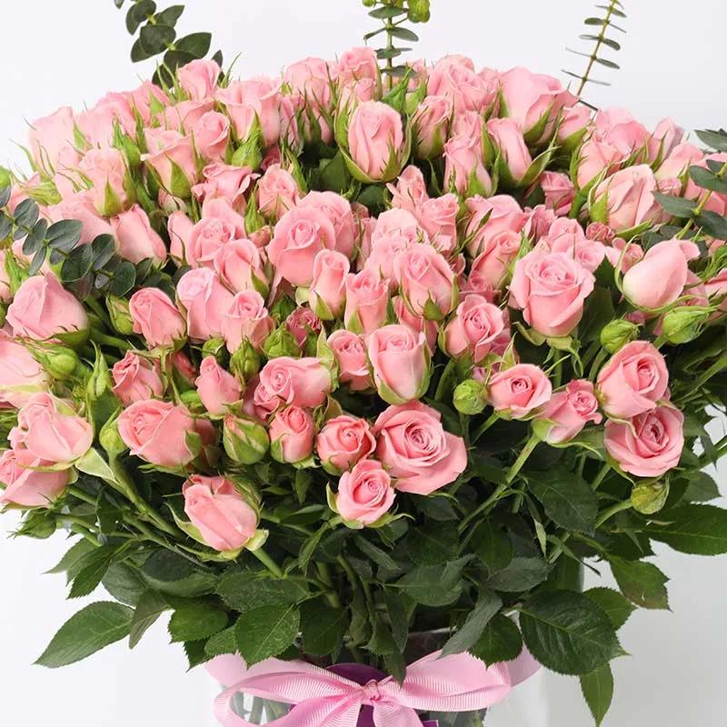 Raw Beauty 51 Pink Baby Roses thumbnail 3