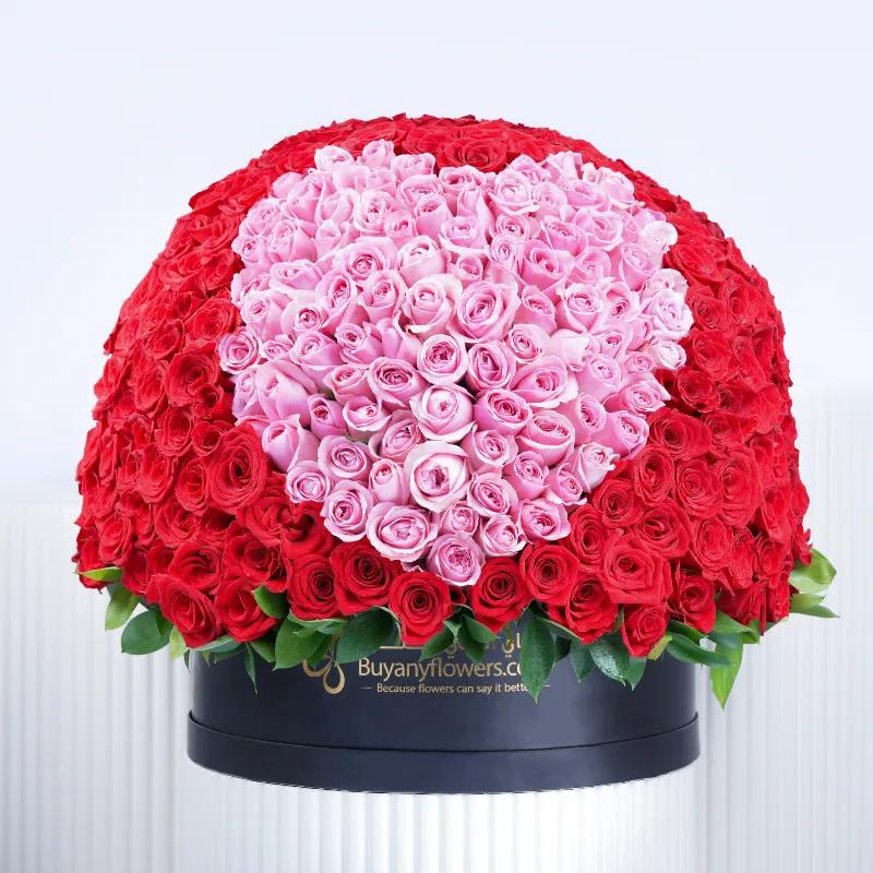 My Heart 501 Red and Pink Roses Box - Flowers gift from Buy Any Flowers Dubai in Al Quoz Industrial Area 4, Dubai, UAE