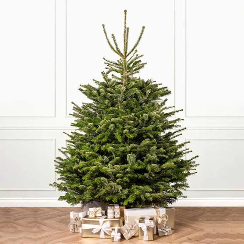 230cm-fresh-christmas-tree-with-box-decoration_1.webp