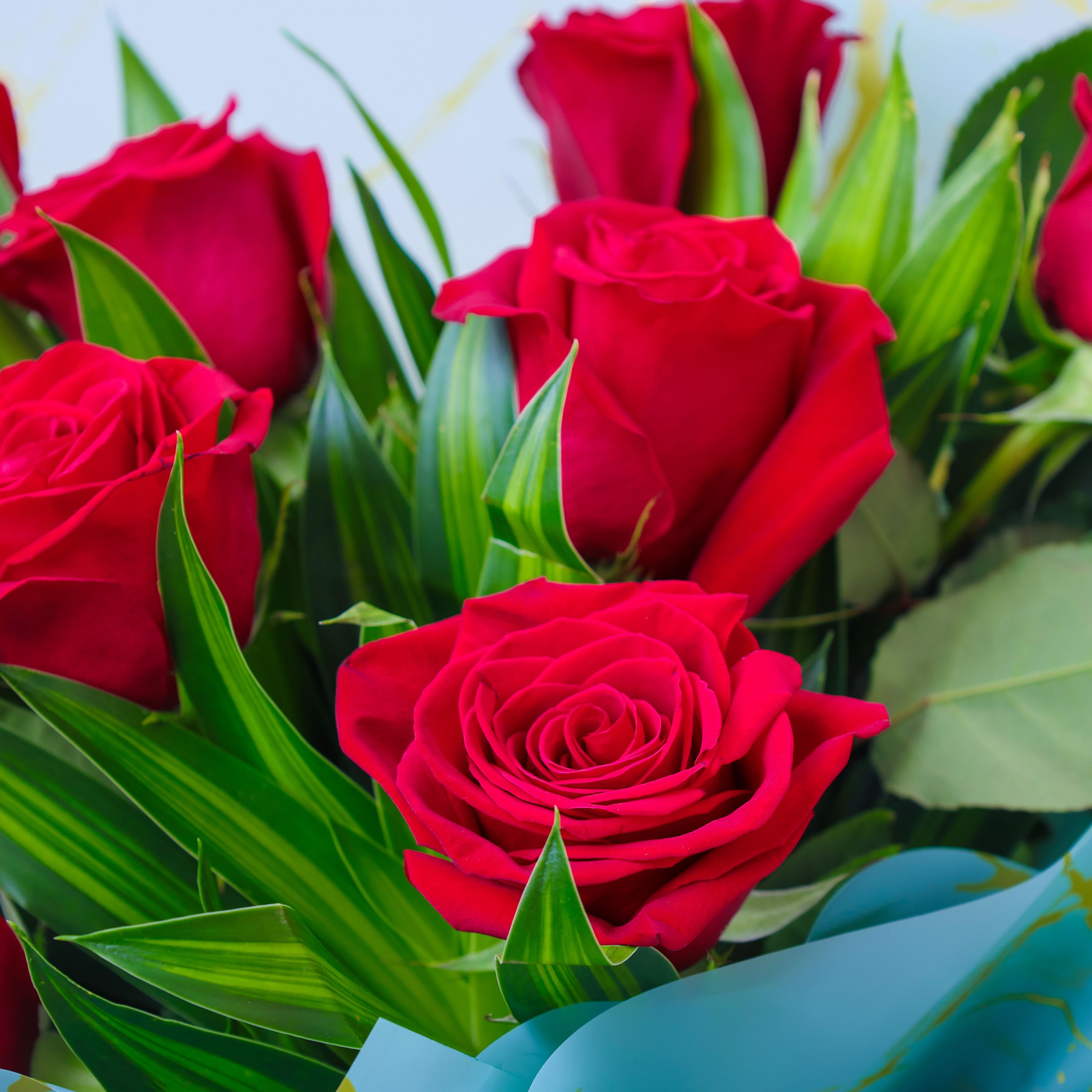 Beauty 11 Red Roses Bouquet thumbnail 3