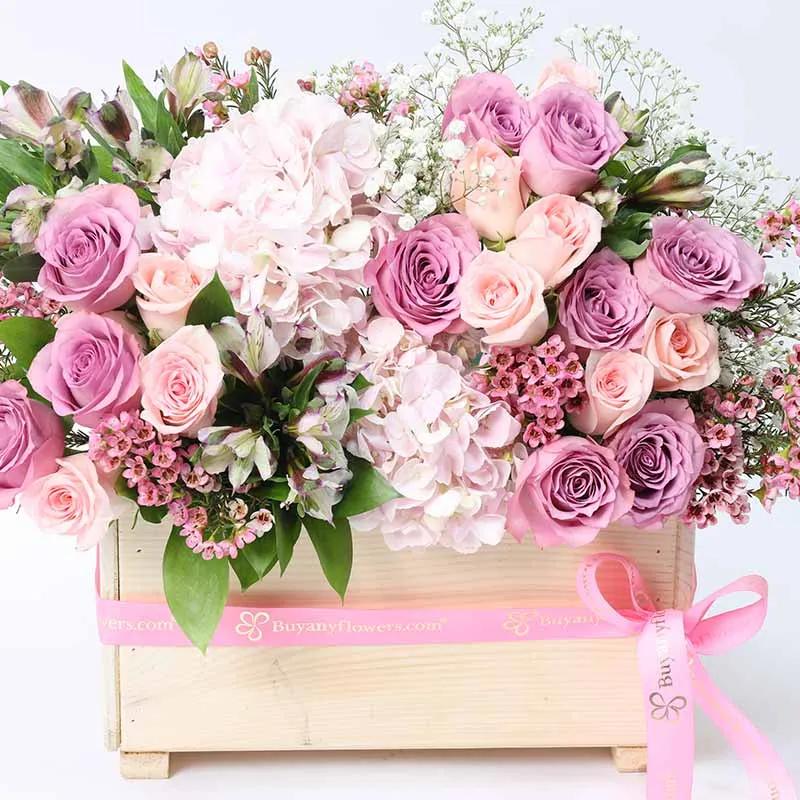 Pure Love Pastel thumbnail 2