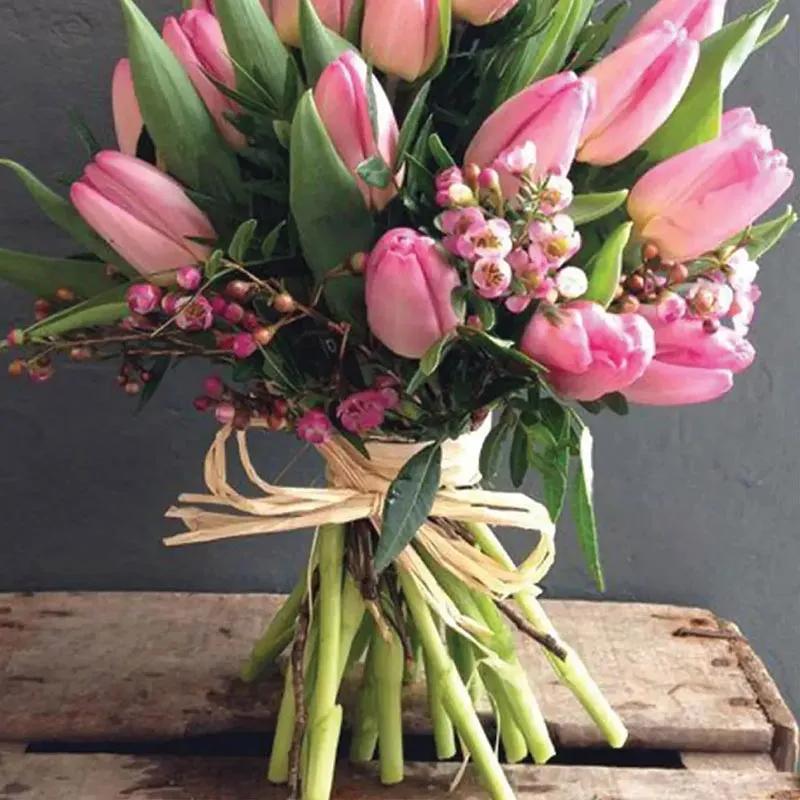 Tulip Surprise thumbnail 3