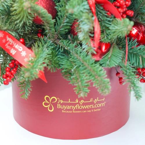 Christmas Tree Shape Arrangement Red - Gifts gift from Buy Any Flowers Dubai in Al Quoz Industrial Area 4, Dubai, UAE - image 3